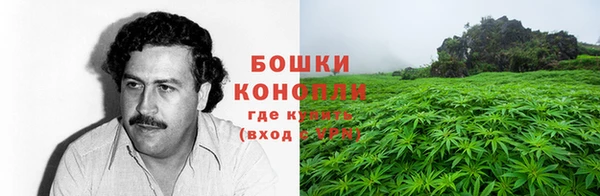 мет Нягань