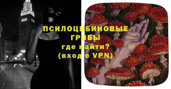 ECSTASY Нязепетровск